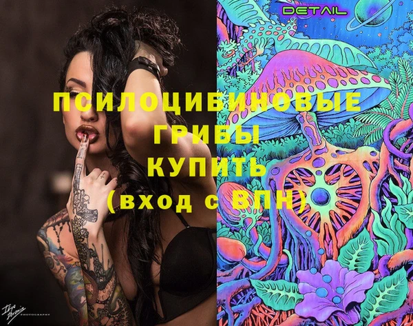 ешки Абинск