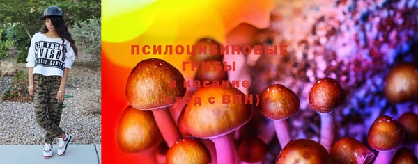 мескалин Абаза