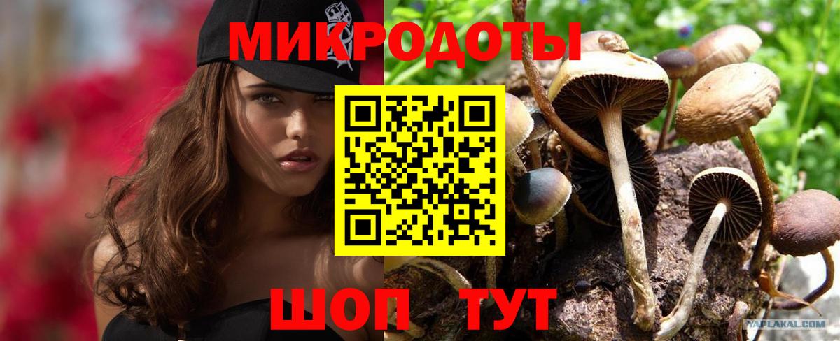 Псилоцибиновые грибы Magic Shrooms  Вход с VPN  Тихорецк 